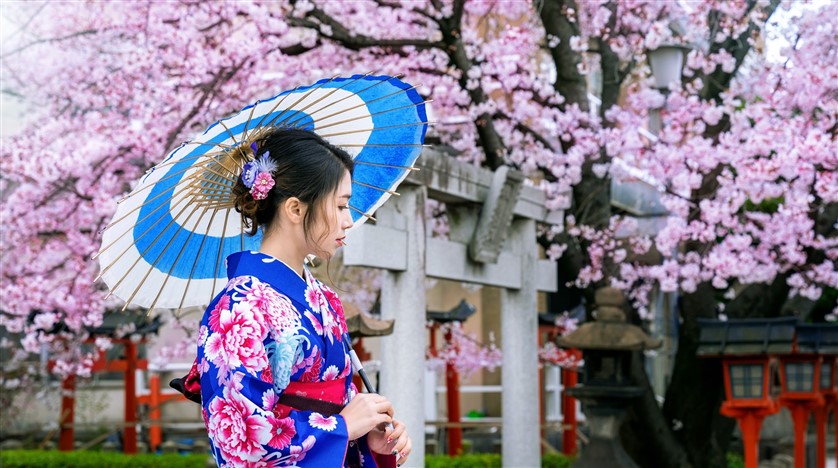 טיול מאורגן ליפן באביב - בחורה יפנית בתלבושת מסורתית ליד עץ בפריחת האביב japan spring