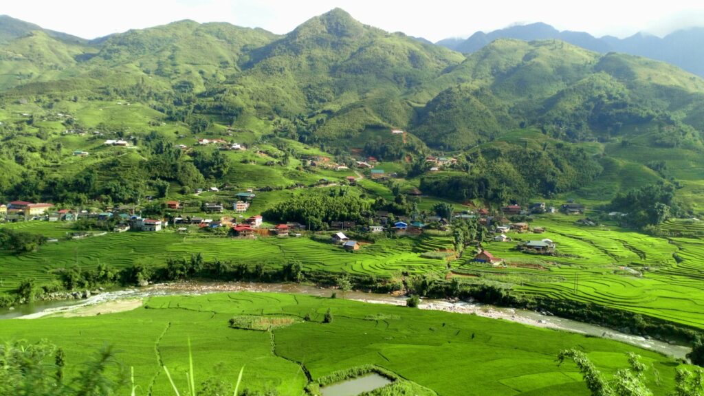 טיול מאורגן לווייטנאם - נוף של הר ושדה ירוק בוויטנאם